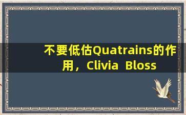 不要低估Quatrains的作用，Clivia  Blossoms给人们一种美感
